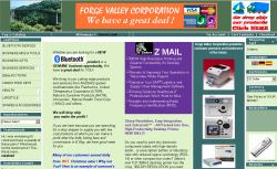 Forge Valley Corporation